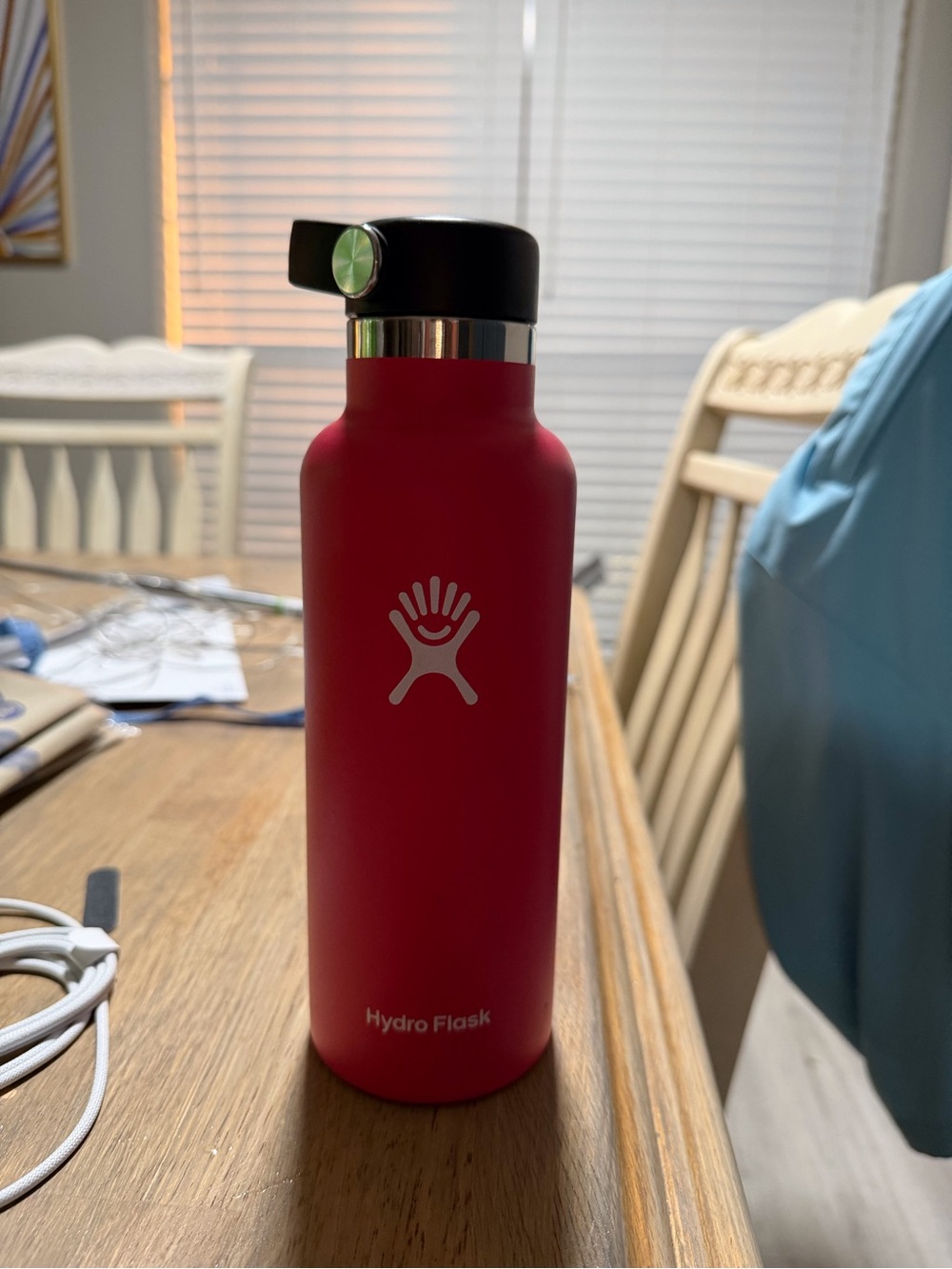 Hydro Flask 18 oz Standard Mouth Water Bottle Flex Cap Pink - Picture 3 of 5